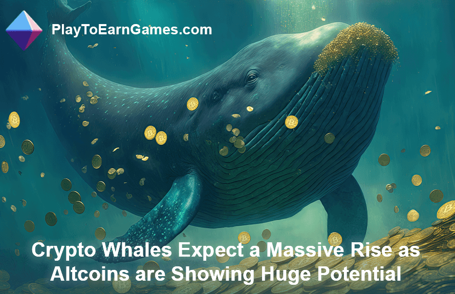 Les crypto-baleines s’attendent à une augmentation des Altcoins