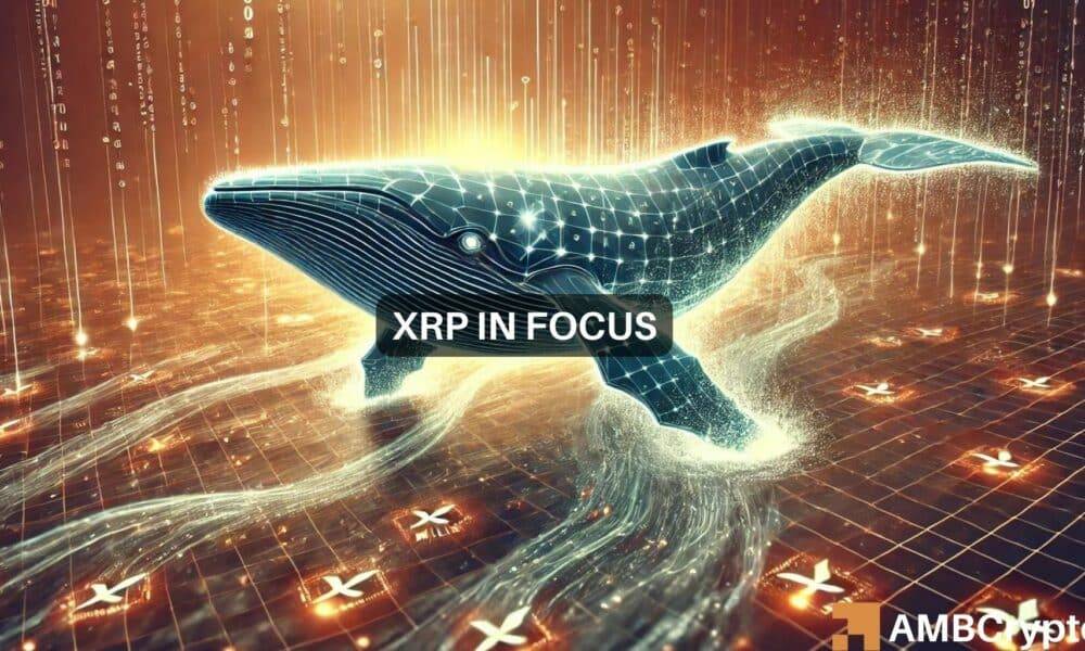 Whale Transfers 30M XRP Tokens Amid Potential Shift to Bullish Trend Towards $0.5
