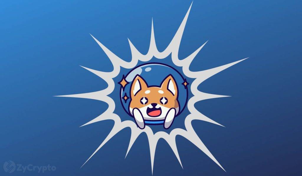 Shiba Inu Price Surge Expected as Whales Acquire Billions at $0.001 Each