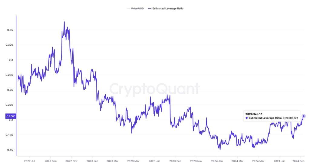 Discover Why Bitcoin Market Leverage is Climbing - Revealed by Coin24h!