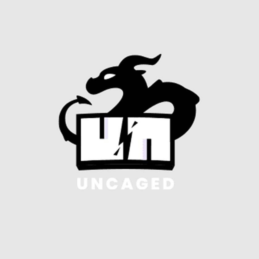 Uncaged Studios - Développeur de jeux