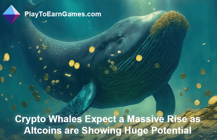 Les crypto-baleines s’attendent à une augmentation des Altcoins