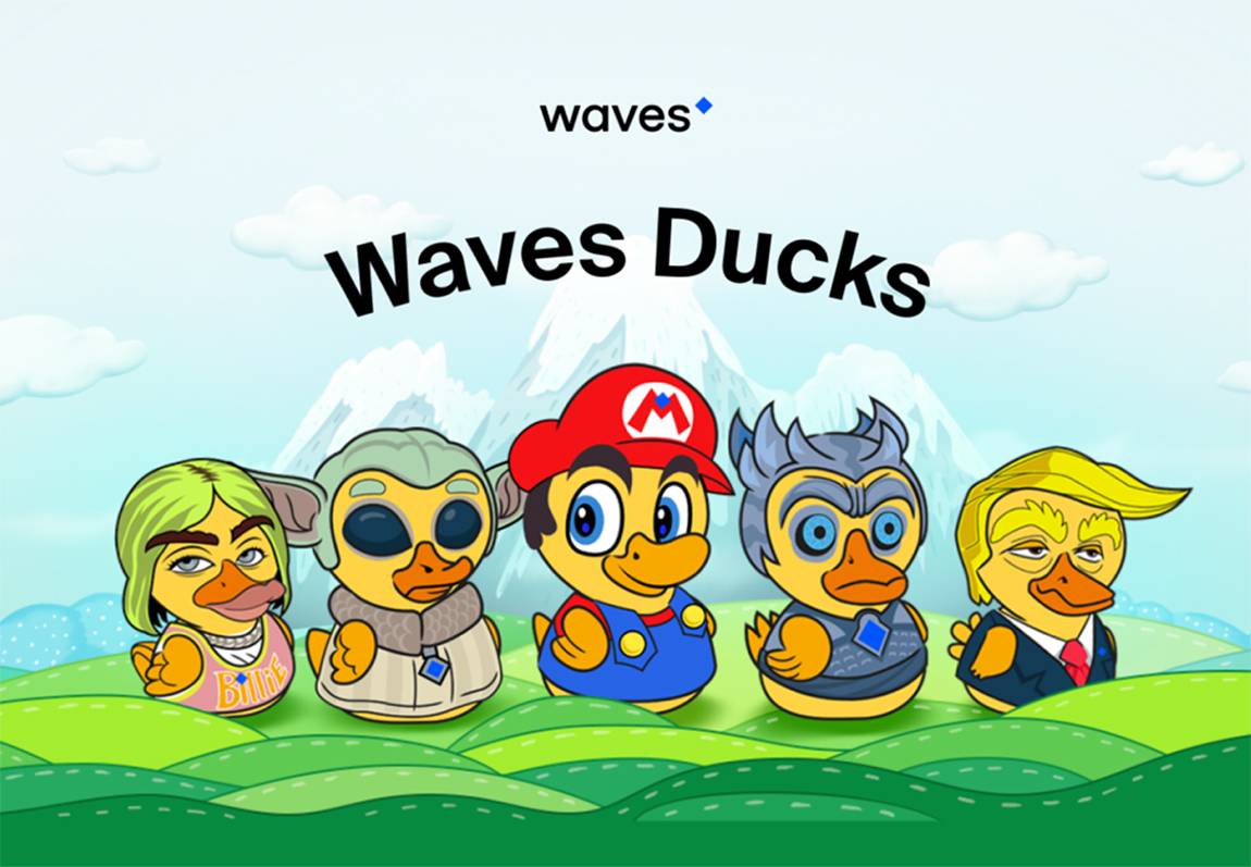 Waves Ducks - Revue du jeu