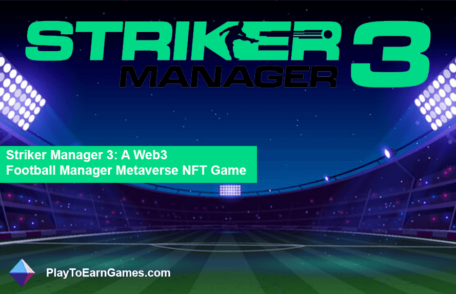 Striker Manager 3 - Présentation du jeu